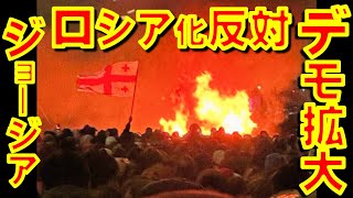 旧ソ連構成国ジョージアで何万人もデモに参加！ モスクワが支援する政権が欧州連合（ＥＵ）加盟交渉を停止するという決定への抗議。ジョージア大使も次々に辞任【石川雅一のYOUTUBEシュタインバッハ大学】 [upl. by Mlawsky]