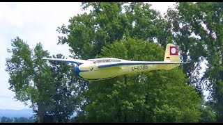 Vintage Glider  DFS Kranich 1938 at Kehler Flugtage 2018 [upl. by Moia403]