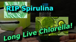 My Spirulina Culture died so I switched to growing Chlorella [upl. by Lalaj]