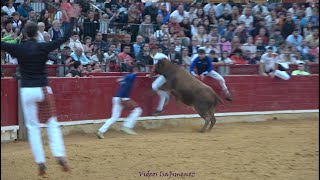 Concurso de anillas Zaragoza  13102024  Jesus Tanco e Ioritz Goñi  HD [upl. by Suirad917]