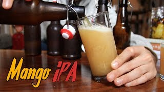 Idiots Guide to Making Incredible Beer at Home [upl. by Nylacaj299]