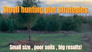 Small hunting plot strategies [upl. by Gniy]