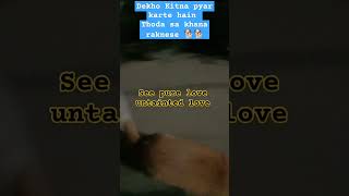 See pure love untainted love shorts dog video dogs shortvideo like support dogbites control [upl. by Akire494]