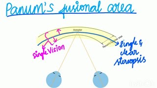 HOROPTER EXPLAINED IN TAMIL [upl. by Sardella350]