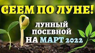 ТОЧНЫЙ ЛУННЫЙ ПОСЕВНОЙ КАЛЕНДАРЬ НА МАРТ 2022 по дням лунныйпосевнойкалендарь март2022 [upl. by Kippar]