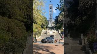 Trafalgar Street NelsonNew Zealand ytshorts youtubeshorts [upl. by Boucher]