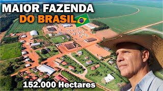 CONHEÇA A MAIOR FAZENDA DO BRASIL  Fazenda Roncador [upl. by Ycrep434]