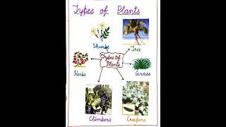 Types of plants [upl. by Lontson111]