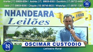 NHANDEARA LEILÕES AO VIVO  02122024 [upl. by Eseerahs337]