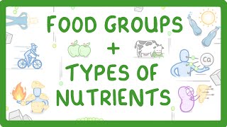 GCSE Biology  What are Nutrients Carbohydrates Lipids Proteins Vitamins amp Minerals 15 [upl. by Lenej585]