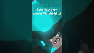 Werner Waschbär wünscht dir eine gute Nacht [upl. by Kyle]