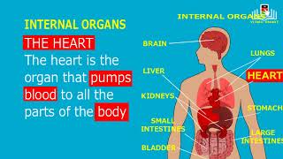 the major organs of the body Integrated Science Grade 123456789 CBC [upl. by Ilatfen]