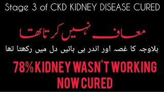 CKD STAGE 3 CURED I معاف نہیں کرتا تھا I Only 22 kidney working now 100 Cured  Testimony [upl. by Peti92]