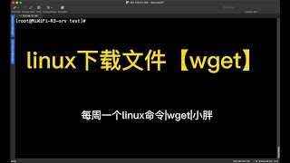 Linux 下载文件【wget】命令 linux wget [upl. by Ydna737]