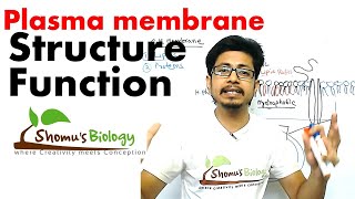 Plasma membrane structure and function [upl. by Mirna]