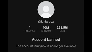 lankybox just got banned [upl. by Nowaj]