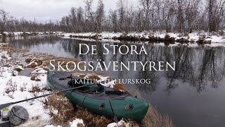 Vinterpaddling genom Kaitum Fjällurskog [upl. by Henricks8]