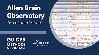 Allen Brain Observatory TwoPhoton Dataset  Tutorial [upl. by Hacim132]