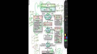 Hyponatremia MADE EASY CAUSE GB [upl. by Lorine]