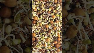 Sprouts salad  sprouts chaat  weight loss salad 🥗 part 2fypシ foodcookingrecipe saladshorts [upl. by Gallenz]