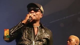 Koffi Olomide performs Effrakata Live at The Koroga Festival [upl. by Jehias164]