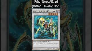 What Does Ally of Justice Catastor Do [upl. by Della]