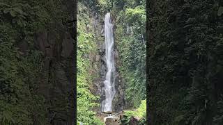 Dominica Trafalgar Falls part 2 [upl. by Summers]