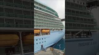 ROYAL CARIBBEAN FREEDOM OTS cruise cruiseship yt ytshort shorts short shortvideo travel [upl. by Alenoel]