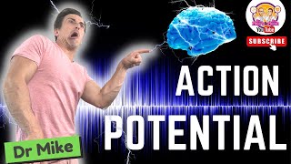 Action Potential  Graded Potentials [upl. by Flip]