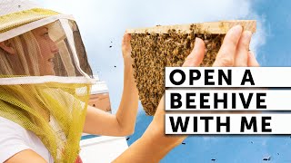 OPEN A BEEHIVE WITH ME  BEEKEEPING 101  Easy Beekeeping [upl. by Jit]