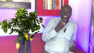 Ndiarignou Garabou Limon  Les vertus du Citronnier  Pr Ousmane Ndiaye  SAMA XALAAT TV [upl. by Edelson]