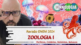 REVISÃO ENEM 2024  Zoologia I [upl. by Namwob]