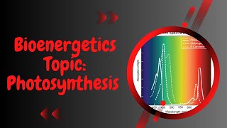 Photosynthesis l action amp absorption spectrum l Bioenergetics l XI biology [upl. by Aiselad604]