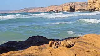 The sea 🌊 through which millions of Algerians crossed ✈️ to Barcelona 🇪🇸 [upl. by Mungam]