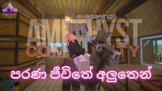 පරණ ජීවිතේ අලුතෙන්  Amethyst Community Minecraft Server  Test Live [upl. by Irem]