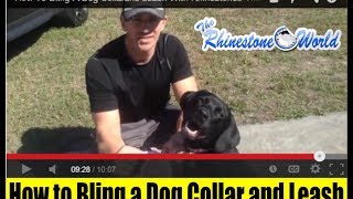 How To Bling a Dog Collar and Leash with Rhinestones [upl. by Sibilla41]