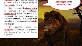 Cours sur le roman Le Lion de Joseph Kessel [upl. by Fitzsimmons]