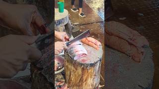 Amazing Hilsa Fish Cutting Skills In Bangladesh Local Fish Market shorts [upl. by Zampardi868]