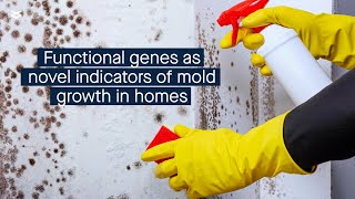 Genes linked to fungal function as novel indicators of harmful mold growth in homes [upl. by Silvano684]