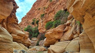 🇯🇴 Iordania  Wadi Ghuweir  Kerak Castle [upl. by Selene882]