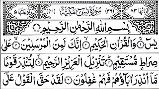 Surah Yaseen  ArRhaman  Surah Yasin 2 Times Daily Quran Tilawat  Beautiful Recitationquran [upl. by Maud790]