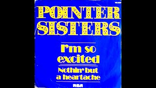 Pointer Sisters  Im So Excited 1983 Disco Purrfection Version [upl. by Atiuqiram261]