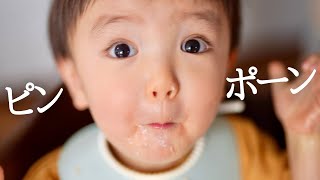 【幼児食】ご飯中に玄関ベルが鳴ってご飯終了！？郵便物にテンション上がりまくる１歳児が可愛すぎる！ [upl. by Odrarej74]