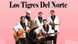 MIX TIGRES DEL NORTE PUROS EXITOS PURAS ROMÁNTICAS 2022 [upl. by Eirallam]