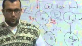 Immunology Revision quotPart 2quot [upl. by Burdelle316]