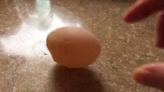 Rubber Shellless Chicken Egg [upl. by Stanislaw]