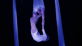 The Aerial Dance Duo Silk  Evenses Entertainment [upl. by Sherburne]