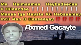 gacayte  Axmed gacayte Heesta Ku Habsaamay  hees maxaa iga haysta  gacayte halbowlaha iyo beerka [upl. by Anidal]