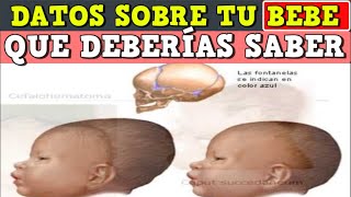 Datos sobre tu bebe que debes saber [upl. by Aihsemak]