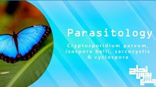 cryptosporidium Isospora cyclospora sarcocystis  para L9  revision [upl. by Anaeerb378]